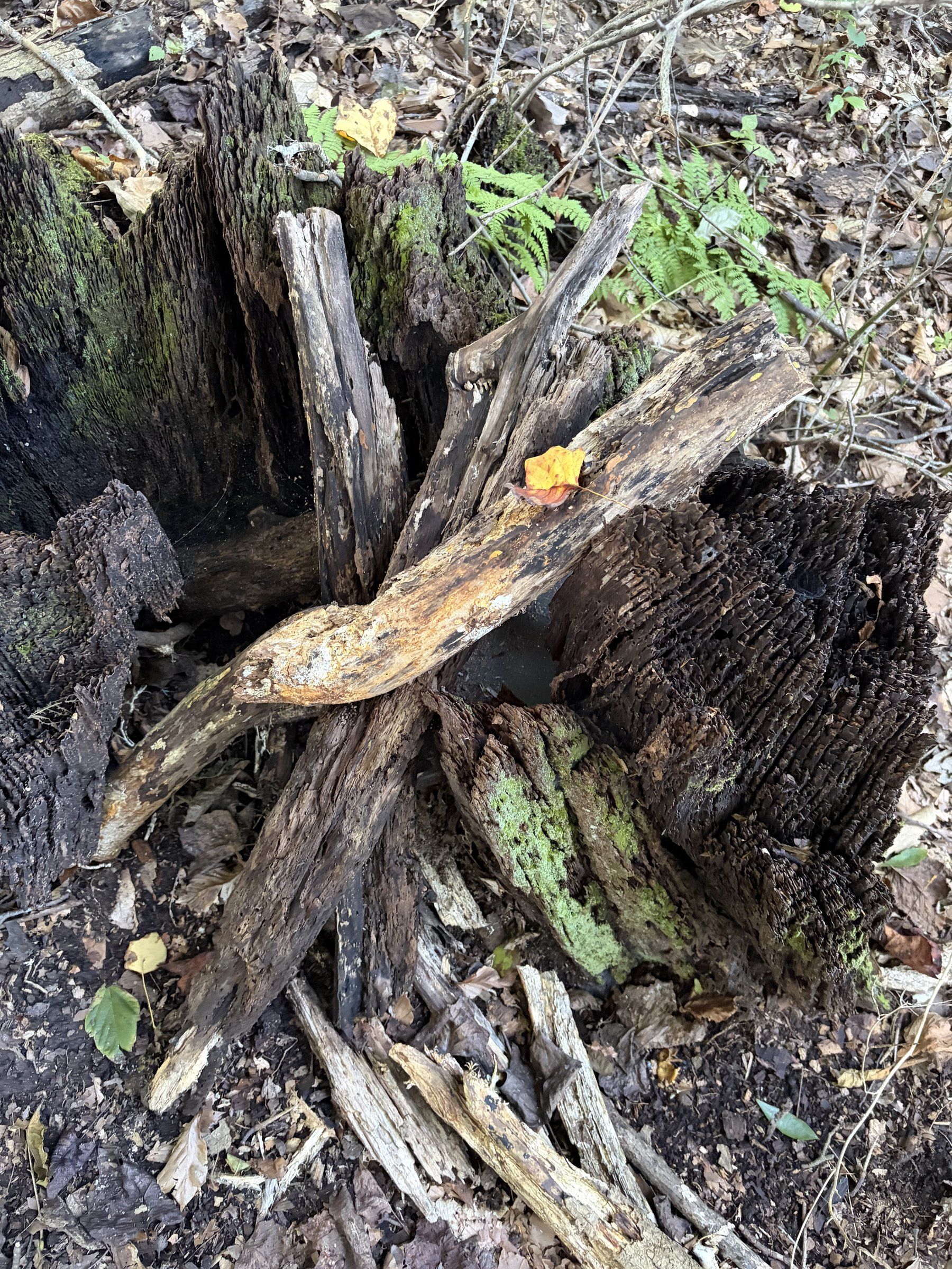 Geocache
