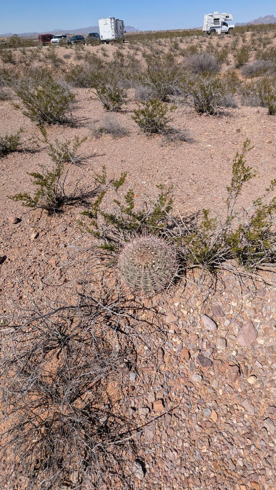 Tortuga Mountain